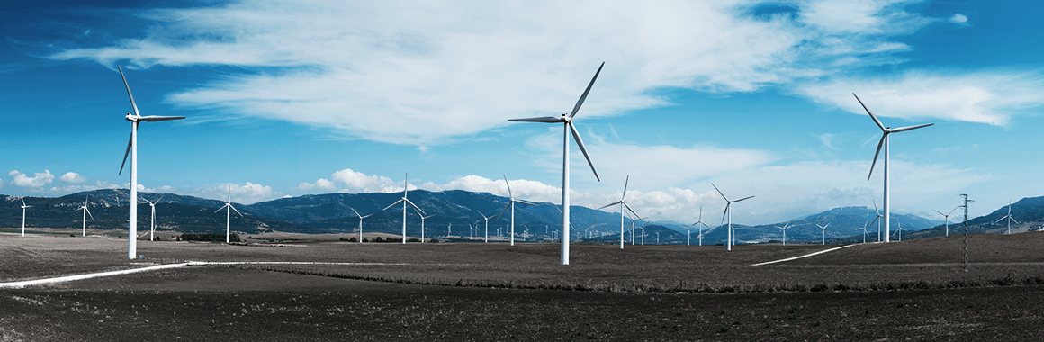 Top 5 společností - Akcie v sektoru Obnovitelné energie