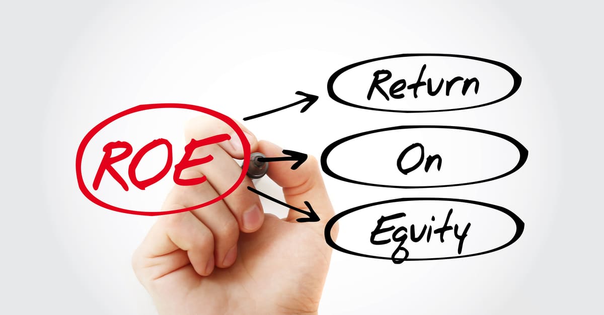 Ukazatel Return on Equity - ROE