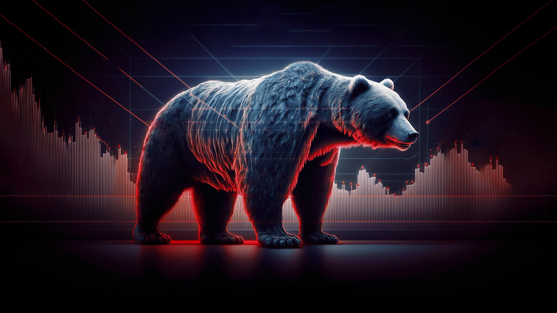 Co je Medvědí trh (Bear market)